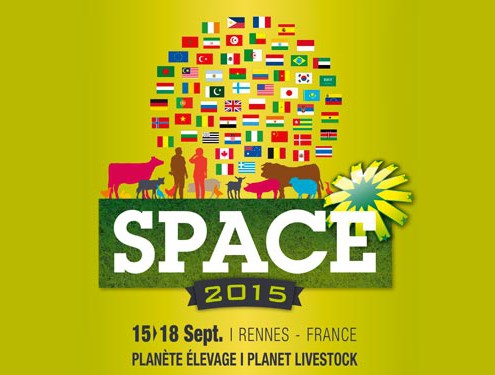 space-2015
